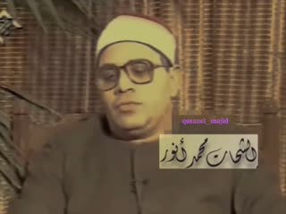 استاد محمد شحات انور
